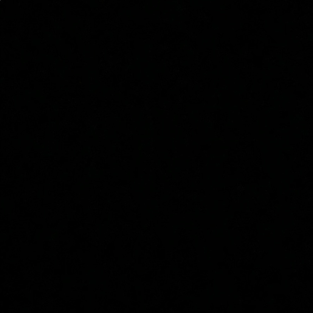 Meet your Posher, Lyannette